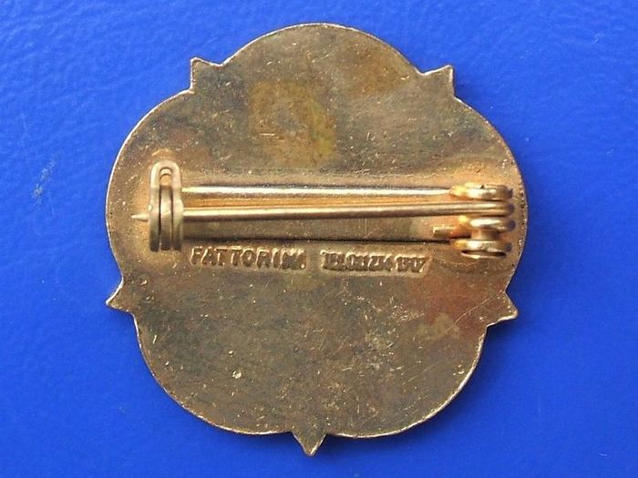 HAMPSHIRE WOMENS INSTITUTE (maker: Fattorini of Birmingham) - membership enamel badge (c.1980's)