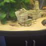 fish tank Image 5