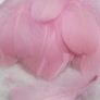 Goose Feathers Image 2