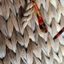Sunglasses designer MAX&Co. BNWT ladies women's Image 9