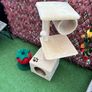 Cat House Image 3