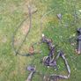 Honda NSR 125,1990==open to offers Image 2