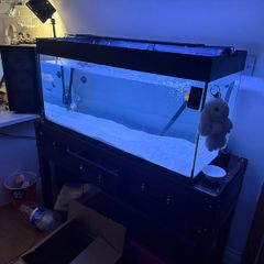 Aquarium/Fishtank