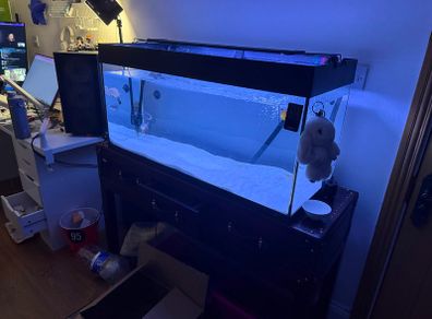 Aquarium/Fishtank