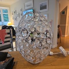 lampshade ceiling light.