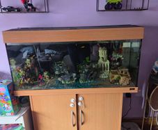 180L Juwel Aquarium