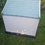 dog kennel Image 2