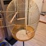 Stunning classic gold large bird cage with stand Image 5