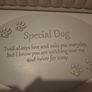 Special dog Image 4