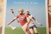 The Little Book Of Hurling by Michael J. King