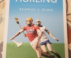 The Little Book Of Hurling by Michael J. King