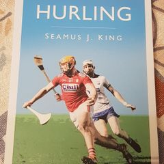 The Little Book Of Hurling by Michael J. King