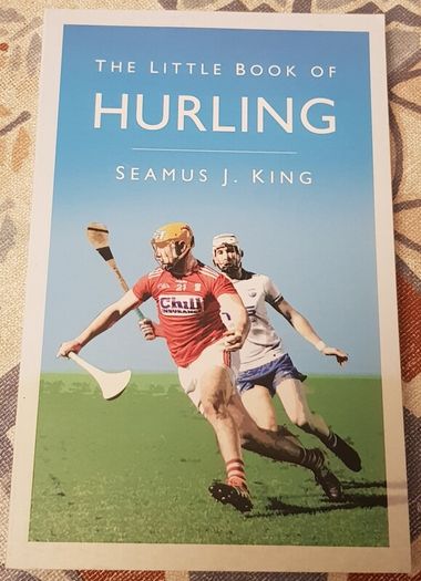 The Little Book Of Hurling by Michael J. King