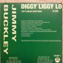 Diggy Liggy Lo.    Jimmy Buckley promo single CD. Image 2