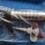 Sealant Gun Set Image 2
