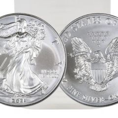 American eagle 2021 type 1