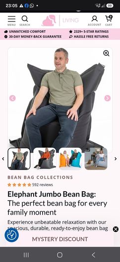 elephant bean bag