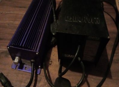 600w balasts