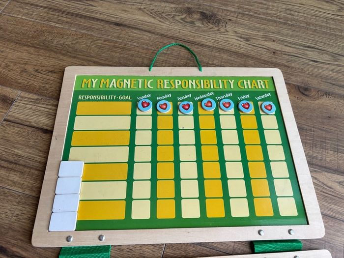 mellisa and dough magnetic responsibly kids chart 40x30cm
