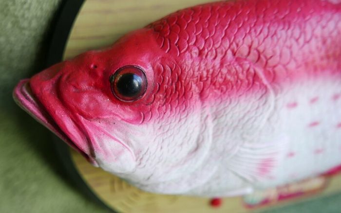 Rock King Tommy the xmas singing fish