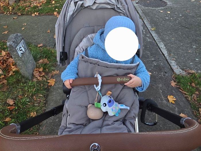Cybex Priam Carrycot & Pushchair Pram