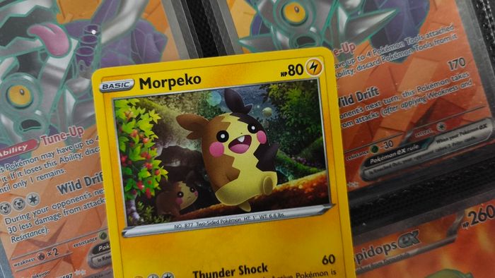 Morpeko ! Promo from Sword & Shield Era ! 2020 ! Pokemon Card !