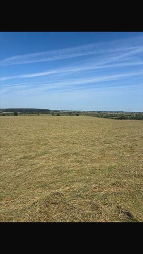 Hay for sale