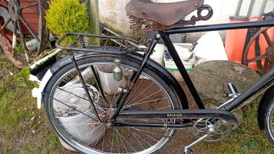 High nellie bike