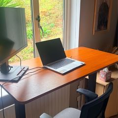 Ergomaker electric sit stand desk