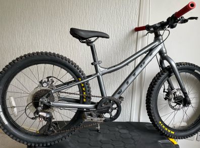 Vitus 20+ Kids Mountain Bike