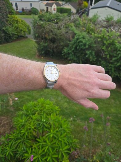 vintage Newton Watch