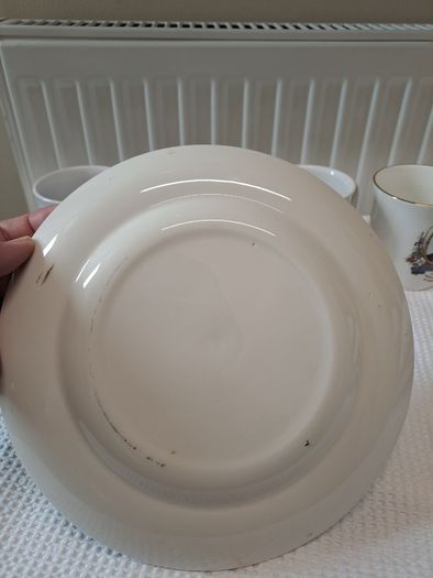 Charles and Diana Commemorative plate no 1