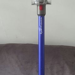 Dyson V11