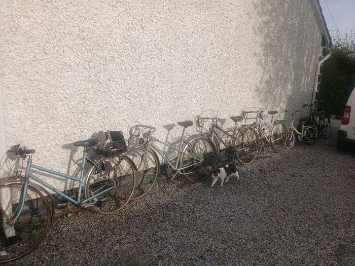 Vintage Bicycles