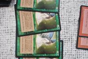 4x Elvish Spiritguide