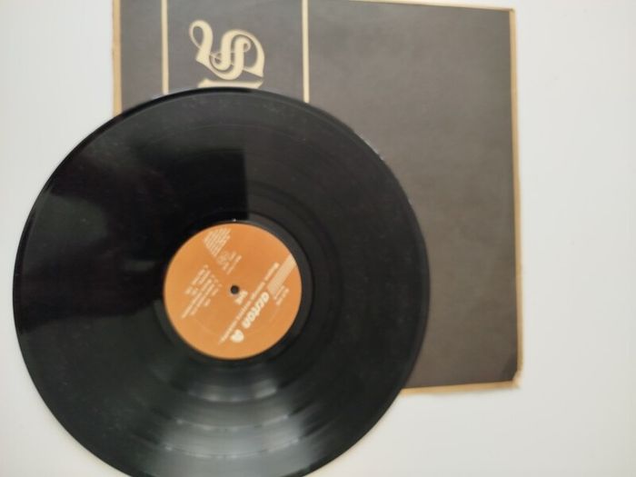 She vinyl