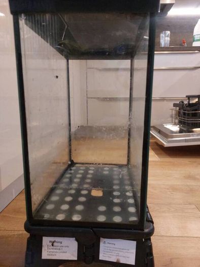 glass fish tank