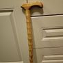 Walking stick Image 2