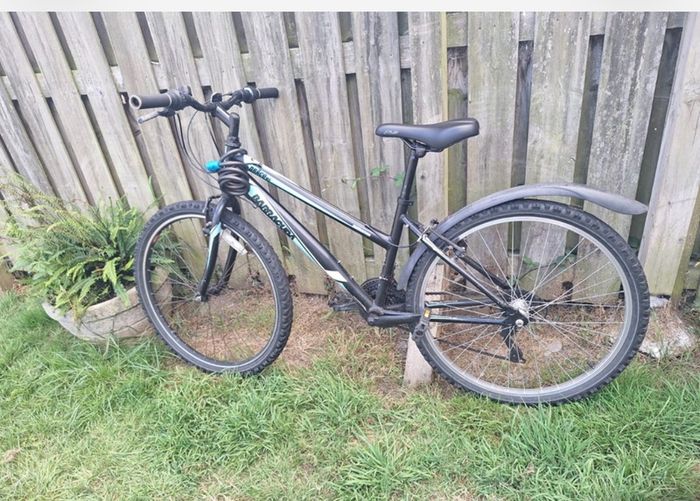 Mountain bike