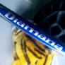 Nike TW Vapour Driver Ltd edition Image 6