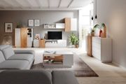 TV Wall Unit 3D