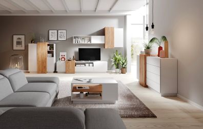 TV Wall Unit 3D