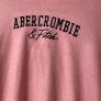 Abercrombie & Fitch Hoodie Image 4