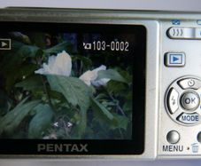 Pentax Optio M40 8.0MP Digital Camera (Charger)
