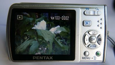 Pentax Optio M40 8.0MP Digital Camera (Charger)