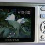 Pentax Optio M40 8.0MP Digital Camera (Charger) Image 8