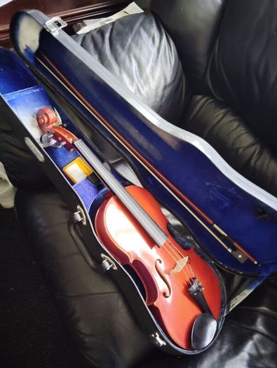 skylark violin