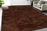 Rugs Living Room 120 x 170 cm  Fluffy Shaggy Brown Area Rugs for Bedroom, Lounge Super Soft Non Slip Rug Washable Modern Floor Carpets Bedside Rug for Kids Room