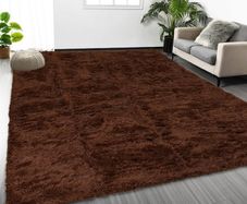 Rugs Living Room 120 x 170 cm  Fluffy Shaggy Brown Area Rugs for Bedroom, Lounge Super Soft Non Slip Rug Washable Modern Floor Carpets Bedside Rug for Kids Room