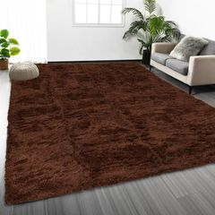 Rugs Living Room 120 x 170 cm  Fluffy Shaggy Brown Area Rugs for Bedroom, Lounge Super Soft Non Slip Rug Washable Modern Floor Carpets Bedside Rug for Kids Room